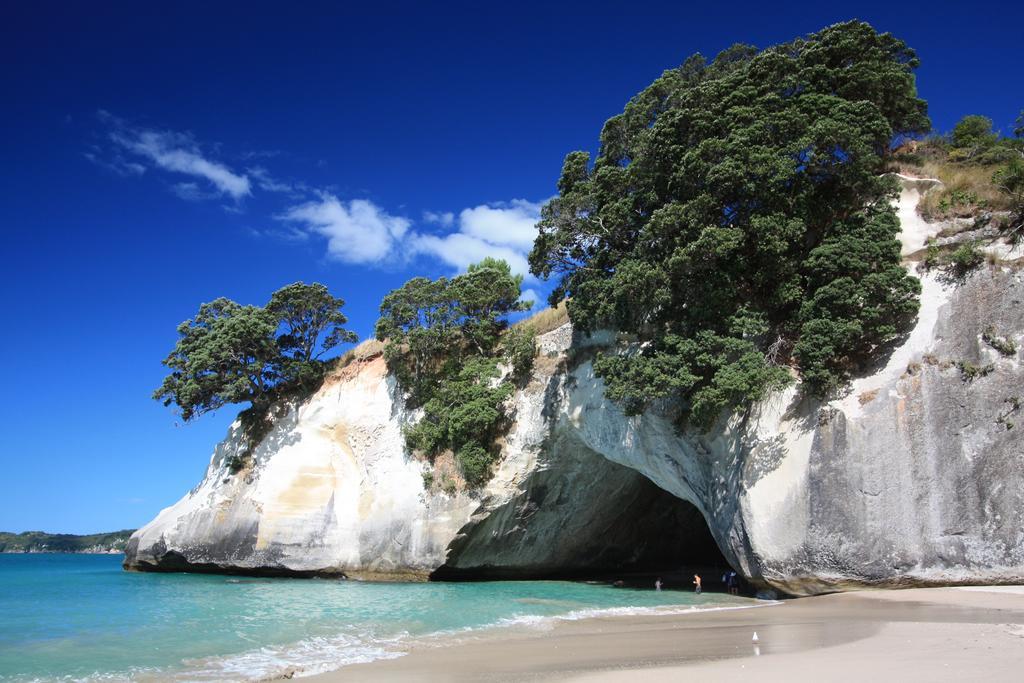Hot Water Beach Surf Sound Cottage Hotwater Beach 외부 사진